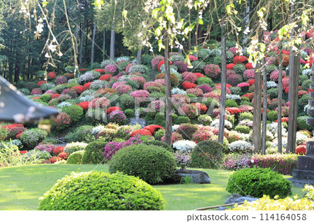 A famous spot for azalea flowers: Yakuoji Temple, Ome City 114164058