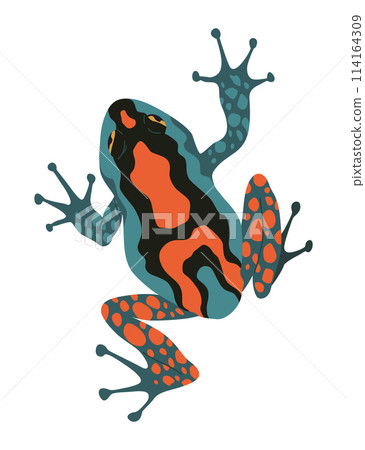 Frog or toad, amphibian animal. Type of froggy. Exotic tropical reptile. Flat vector illustration on white background Frog or toad, amphibian animal. Type of froggy. Exotic tropical reptile. Flat vector illustration on white background 114164309