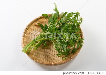 豆瓣菜與鮮花，白色背景 114164310