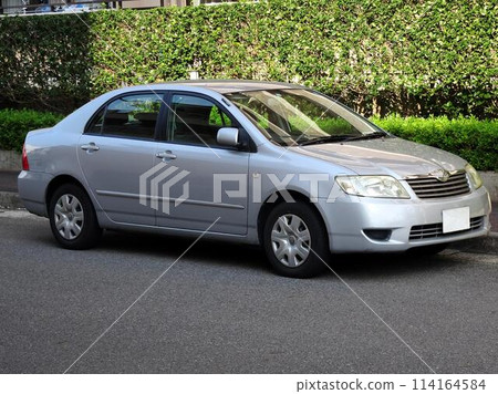 Toyota Corolla (10th generation) 114164584