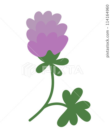 Flower clover. Purple Trefoil illustration. Flat doodle simple plant. Summer or spring element. Flower clover. Purple Trefoil illustration. Flat doodle simple plant. Summer or spring element. 114164960