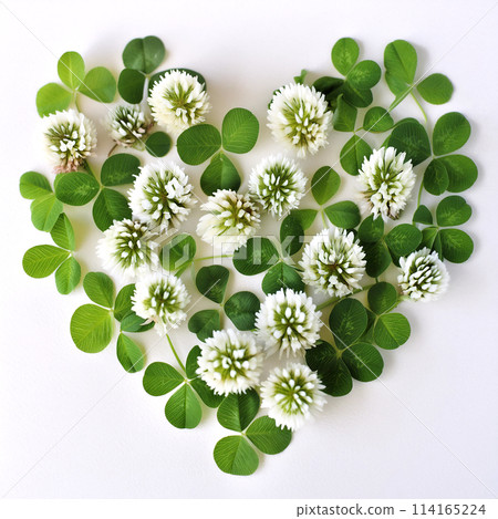 白三葉草狀植物排列成心形。 白三葉草狀植物排列成心形。 114165224