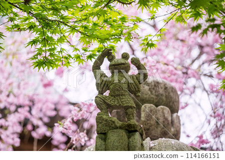 Frog statue with maple and pink sakura at Nyoirinji Temple, Ogori 114166151