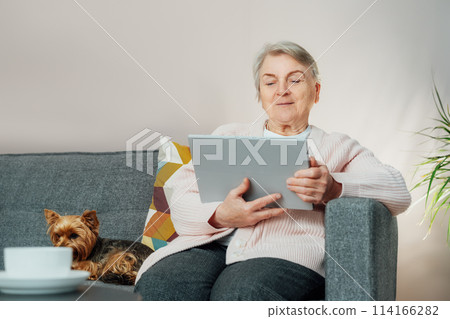 Caucasian old elderly senior woman sitting on sofa with dog pet and using tablet for surfing social media, e-banking, e-commerce, checking pension, reading news, chatting with family, watching video Caucasian old elderly senior woman sitting on sofa with dog pet and using tablet for surfing social media, e-banking, e-commerce, checking pension, reading news, chatting with family, watching video 114166282