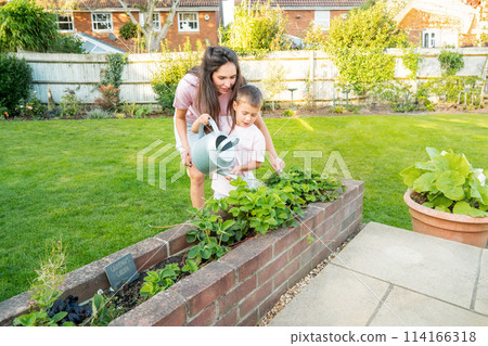 Mother and son watering vegetables in pots garden in Backyard on Sunny Summer Day. Boy helps mom take care of kitchen garden, woman teaches son to take care of plants. Time together. Active childhood 114166318
