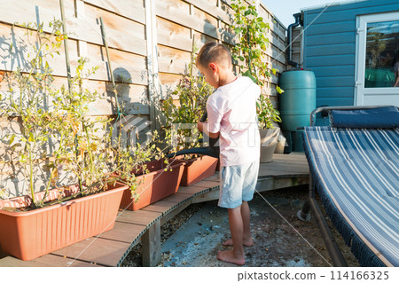 Small boy watering vegetables in pots garden in Backyard on Sunny Summer Day. Boy helps mom take care of kitchen garden, woman teaches son to take care of plants. Active childhood 114166325