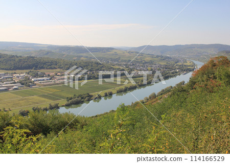 Moselle valley Germany 114166529