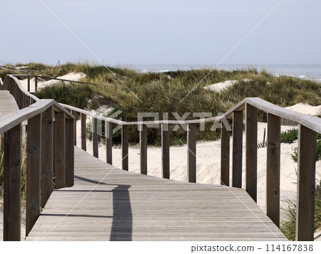 wooden walkway path Aveiro portugal sand dunes Atlantic Ocean beach view landscape panorama 114167838