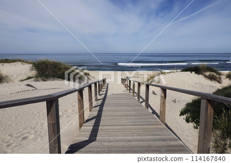 wooden walkway path Aveiro portugal sand dunes Atlantic Ocean beach view landscape panorama 114167840