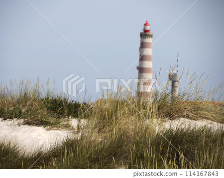 Aveiro portugal sand dunes Atlantic Ocean beach view landscape panorama 114167843