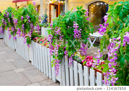 Outdoor empty cafe on street decorated artificial purple flowers Ivy wisteria, green plant, white fence. Cafe summer terrace Outdoor empty cafe on street decorated artificial purple flowers Ivy wisteria, green plant, white fence. Cafe summer terrace 114167858
