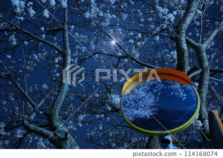 Cherry blossoms, mirror, night view 114168074