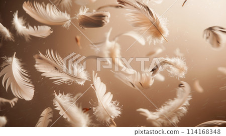 warm and comforting view of feathers caught in a soft, inviting light, conveying a sense of warmth and gentle motion, rendered in high resolution to enhance the subtle textures and comforting hues 114168348