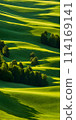 A summer landscape with a blazing sun casting long shadows, a minimalistic composition with few elements 114169141