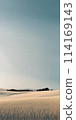 Sunny summer landscape embracing minimalism, vast open fields under a clear blue sky 114169143