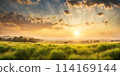 Sunny days warmth captured in a round blur embodying the essence of smooth summer 114169144