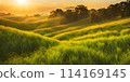 Sunny days warmth captured in a round blur embodying the essence of smooth summer 114169145