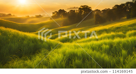 Sunny days warmth captured in a round blur embodying the essence of smooth summer Sunny days warmth captured in a round blur embodying the essence of smooth summer 114169145