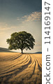 Bright sunlight over serene landscape, minimalistic scenery with single tree 114169147