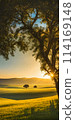 Sunny summer landscape embracing minimalism, vast open fields under a clear blue sky 114169148