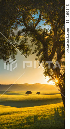 Sunny summer landscape embracing minimalism, vast open fields under a clear blue sky Sunny summer landscape embracing minimalism, vast open fields under a clear blue sky 114169148