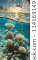 Midday sun casting a radiant glow on a calm azure sea, sunrays gently penetrating the crystal-clear waters 114169149