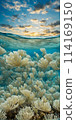 Midday sun casting a radiant glow on a calm azure sea, sunrays gently penetrating the crystal-clear waters 114169150