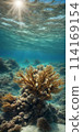 Midday sun casting a radiant glow on a calm azure sea, sunrays gently penetrating the crystal-clear waters 114169154