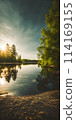 Sunny summer landscape embracing minimalism, vast open fields under a clear blue sky 114169155