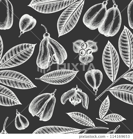 Hand drawn sketch style ackee seamless pattern. Organic fresh food vector illustration on chalk board. Retro exotic fruit  background. 114169653