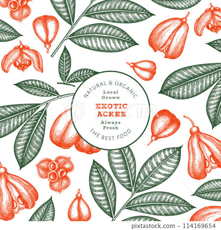 Hand drawn sketch style ackee banner. Organic fresh food vector illustration. Retro exotic fruit design template. Engraved style botanical background. 114169654