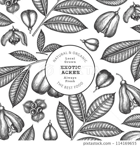 Hand drawn sketch style ackee banner. Organic fresh food vector illustration. Retro exotic fruit design template. Engraved style botanical background. 114169655