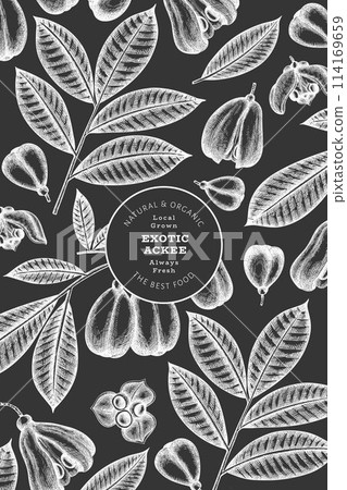 Hand drawn sketch style ackee banner. Organic fresh food vector illustration on chalk board. Retro exotic fruit design template. Engraved style botanical background. 114169659