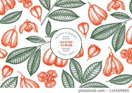 Hand drawn sketch style ackee banner. Organic fresh food vector illustration. Retro exotic fruit design template. Engraved style botanical background. Hand drawn sketch style ackee banner. Organic fresh food vector illustration. Retro exotic fruit design template. Engraved style botanical background. 114169660
