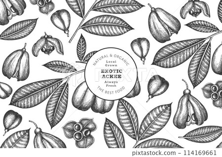 Hand drawn sketch style ackee banner. Organic fresh food vector illustration. Retro exotic fruit design template. Engraved style botanical background. 114169661
