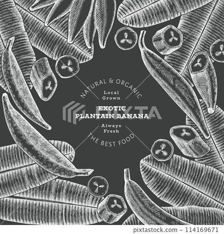 Hand drawn sketch style plantain banner. Organic fresh fruit vector illustration on chalk board. Retro exotic banana fruit design template Hand drawn sketch style plantain banner. Organic fresh fruit vector illustration on chalk board. Retro exotic banana fruit design template 114169671