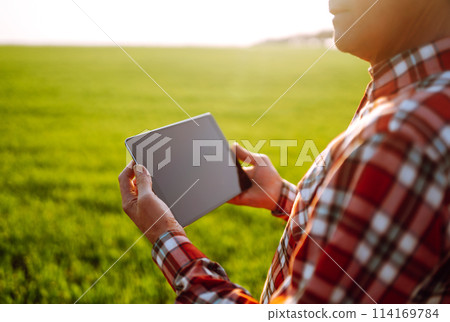 Farmer working with digital tablet in field at sunset. Checking wheat field. Agriculture concept. 114169784