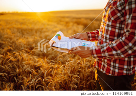 Tablet in the hands of a farmer. Smart farm. Farmer checking his crops on an agricultural field. 114169991