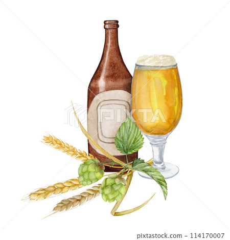 Hand-drawn watercolor illustration bottle of beer with shaped glass of beer and hop and malt, beer festival, international beer day Hand-drawn watercolor illustration bottle of beer with shaped glass of beer and hop and malt, beer festival, international beer day 114170007