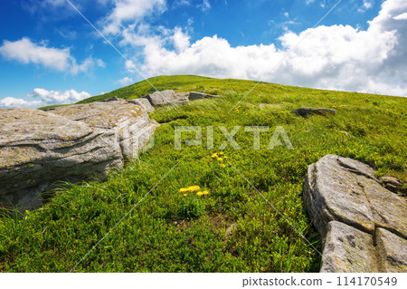 boulders on the grassy hillside of smooth polonina also called runa. carpathian nature landscape of ukraine on a sunny day in summer 114170549