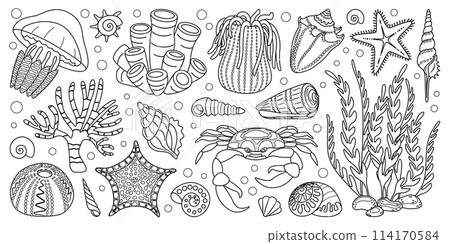 Set doodle marine animals and plants, underwater ecosystem elements Coloring page 114170584
