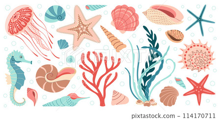 Hand drawn marine animals and plants flat style set, underwater ecosystem for your design. Hand drawn marine animals and plants flat style set, underwater ecosystem for your design. 114170711