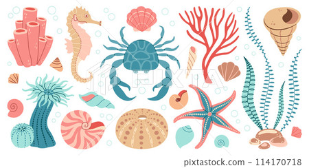 Hand drawn marine animals and plants flat style set, underwater ecosystem for your design. 114170718