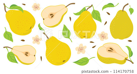 Ripe juicy pears. Hand drawn colorful pear set, with flowers and leaves. 114170758