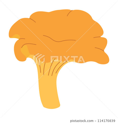 Chanterelle mushrooms. Hand drawn trendy flat style. Doodle of autumn forest harvest. 114170839