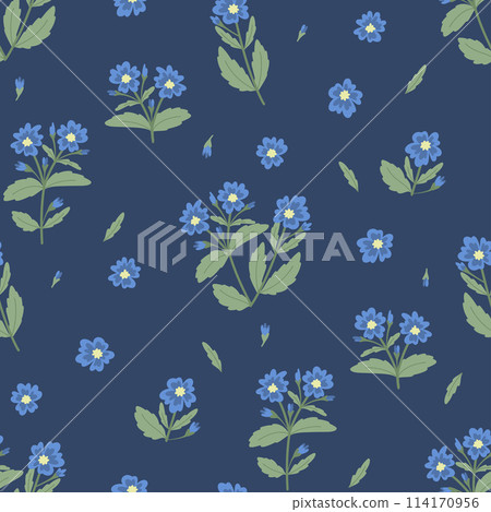 Seamless pattern with wild plant. Cerastium 114170956