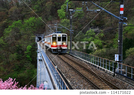 Traveling through the Okukinuji area amid the budding spring buds... "6050 series" at Kawajiyumoto Station Traveling through the Okukinuji area amid the budding spring buds... "6050 series" at Kawajiyumoto Station 114171022