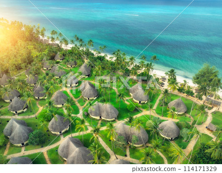 Aerial view of green palms, bungalows, grass, sandy beach, sea Aerial view of green palms, bungalows, grass, sandy beach, sea 114171329