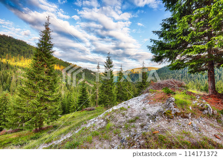 Amazing view of Pietrele Albe mountaine peak at summer time. 114171372