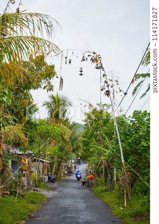 A person on a motorcycle rides a scenic asphalt road in Asia. A person on a motorcycle rides a scenic asphalt road in Asia. 114171827